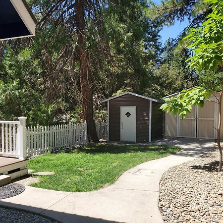 -Serendipity Lodge At Yosemite- Bbq-Full Kitchen-King Bed Oakhurst Exterior photo